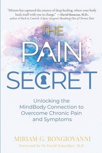 bokomslag Pain Secret