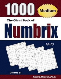 bokomslag Giant Book Of Numbrix