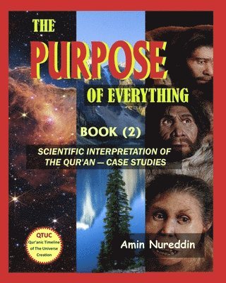 The Purpose of Everything 1