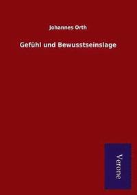 bokomslag Gefühl und Bewusstseinslage