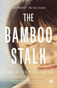 bokomslag Bamboo Stalk