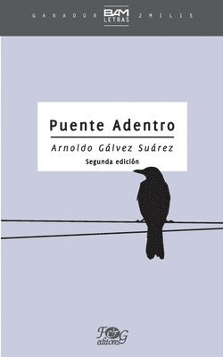 Puente adentro 1