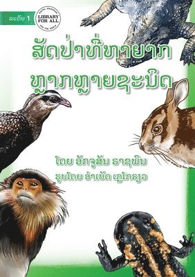 Akchousanh Rasphone - More Endangered Animals - ສັດປ່າທີ່ຫາຍາກ ມີຫຼາຍຊະນິດ, Häftad