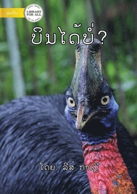 Can It Fly? ບິນໄດ້ບໍ່?