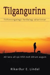 bokomslag Tilgangurinn