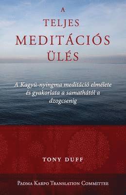 bokomslag A teljes meditcis ls