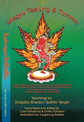 Drubdra Khenpo Tsultrim Tenzing - Magyu Tsalung And Tummo, Häftad