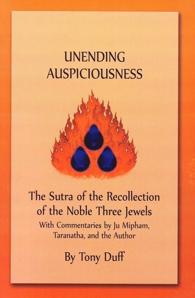 bokomslag Uneneding Auspiciousness
