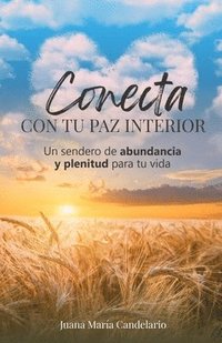 bokomslag Conecta Con Tu Paz Interior