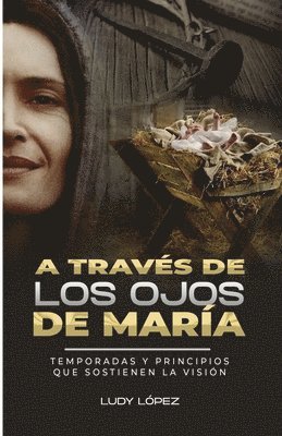 bokomslag A Través de Los Ojos de María: Temporadas y principios que sostienen la visión