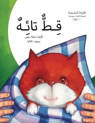 قط تائه