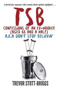 bokomslag TSB - Confessions of an Ex-Hooker (Aged 66 & a half) a.k.a. DON'T STOP BELIEVIN'