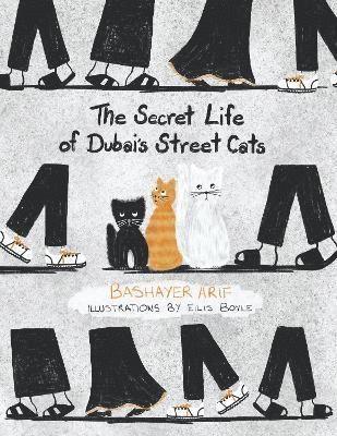 Secret Life of Dubai's Street Cats 1