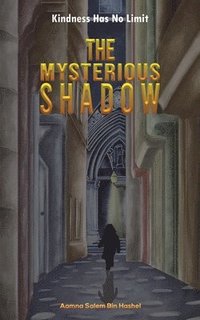 bokomslag Mysterious Shadow