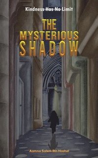 bokomslag The Mysterious Shadow