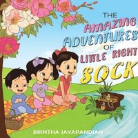 bokomslag The Amazing Adventures of Little Right Sock