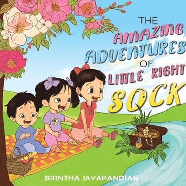bokomslag The Amazing Adventures of Little Right Sock