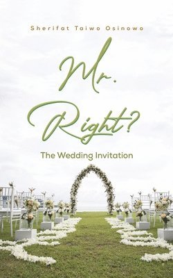 bokomslag MR RIGHT
