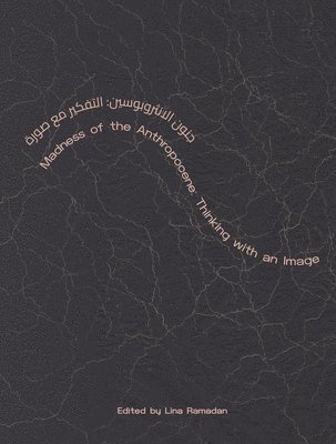 bokomslag Madness of the Anthropocene: Thinking with an Image
