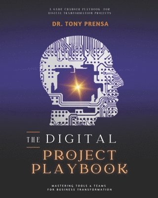 bokomslag Digital Project Playbook