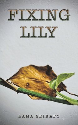 Fixing Lily 1