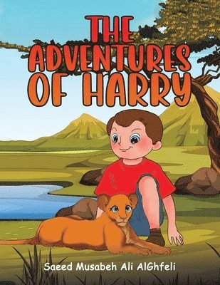 bokomslag The Adventures of Harry
