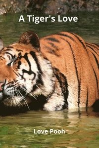 bokomslag A Tiger's Love