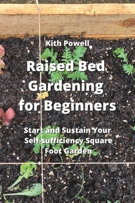 Raised Bed Gardening for Beginners 1