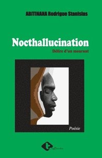 bokomslag Nocthallucination