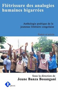 bokomslag Flétrissure des analogies humaines bigarrées
