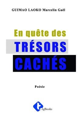 bokomslag En quête des trésors cachés