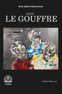 bokomslag Dans le gouffre