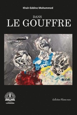 bokomslag Dans le gouffre