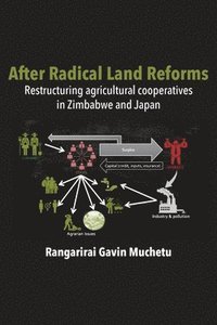 bokomslag After Radical Land Reform