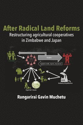 After Radical Land Reform 1