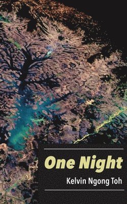 One Night 1