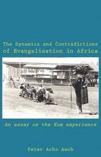 bokomslag The Dynamics and Contradictions of Evangelisation in Africa