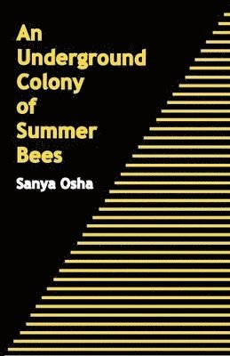 Underground Colony of Summer Bees