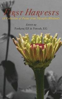 bokomslag First Harvests. A Collection of Poems from Nkongho-Mboland