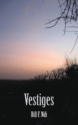 bokomslag Vestiges