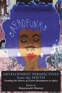 bokomslag Development Perspectives from the South