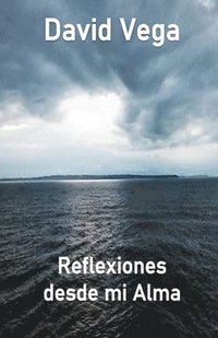 bokomslag Reflexiones desde mi alma