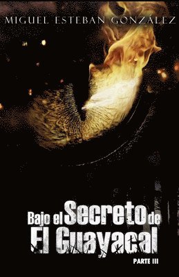 bokomslag Bajo el secreto de El Guayacal 3