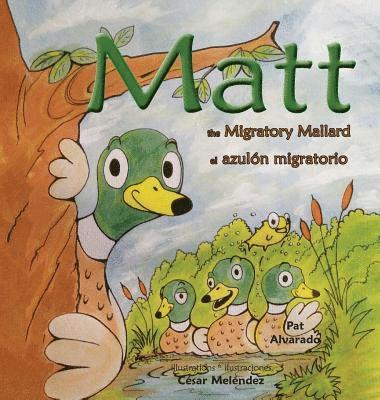 Pat Alvarado - Matt, Inbunden