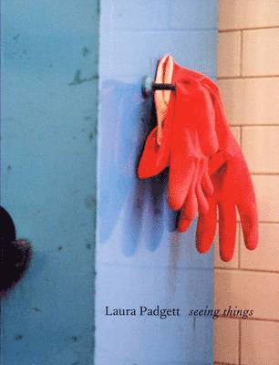 bokomslag Laura Padgett