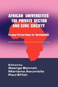 bokomslag African Universities, the Private Sector and Civil Society. Forging Partnerships for Development
