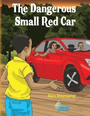 bokomslag Dangerous Small Car