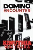 bokomslag Domino Encounter