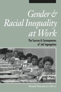 bokomslag Gender and Racial Inequality at Work