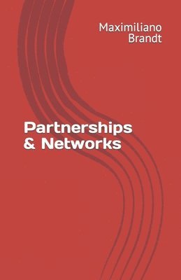 bokomslag Partnerships & Networks